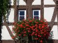 Betreutes Wohnen in Neulingen (Enzkreis)