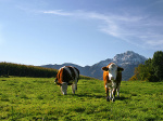 Altenheime, Pflegeheime, Seniorenwohnen in Olching