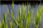 Altenheime, Pflegeheime, Seniorenwohnen in Seeshaupt