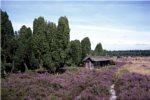 Altenheime, Pflegeheime, Seniorenwohnen in Soltau