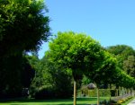 Altenheime, Pflegeheime, Seniorenwohnen in Tabarz