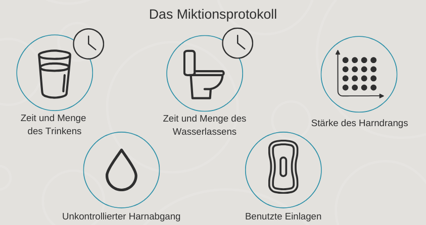 Das Miktionsprotokoll: Zeit und Menge des Trinkens, Zeit und Menge des Wasserlassens, Stärke des Harndrangs, Unkontrollierter Harnabgang, Benutzte Einlagen