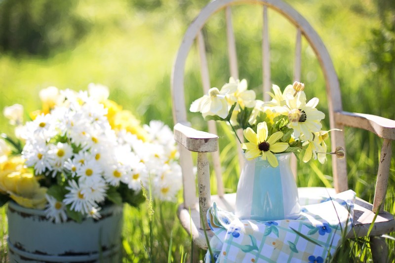 Pflegeleichter Garten für Senioren
