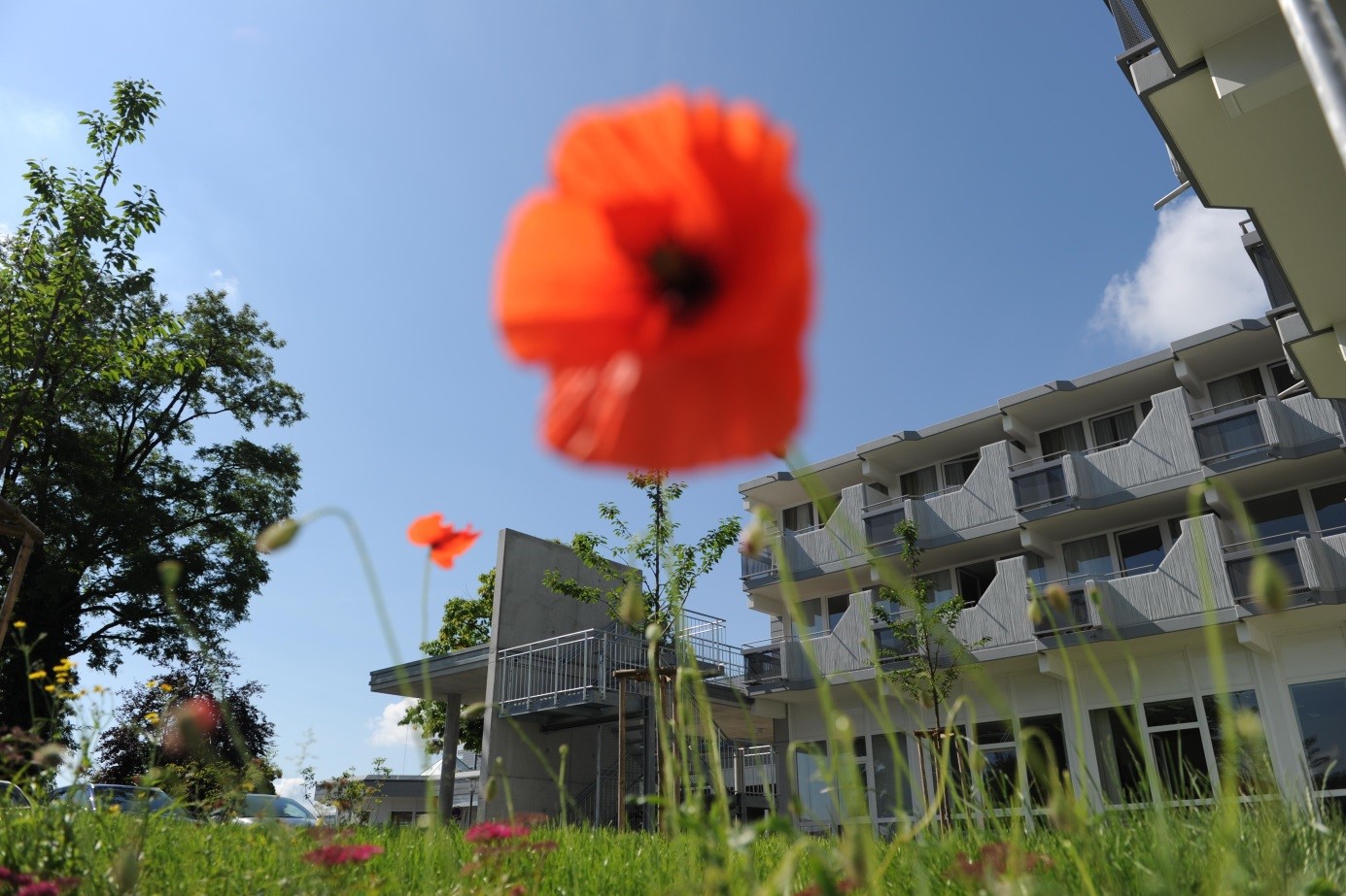 Wohnpark St. Vinzenz, Aulendorf – MIBTR