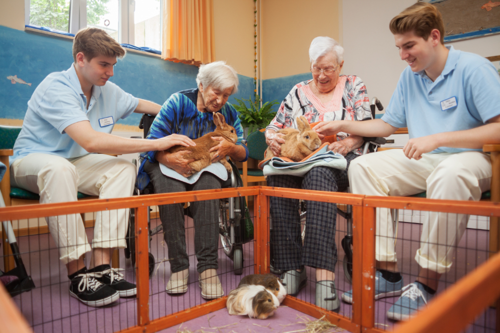 SeniorenResidenz "Waldersee" in Lübeck auf WohnenimAlter.de