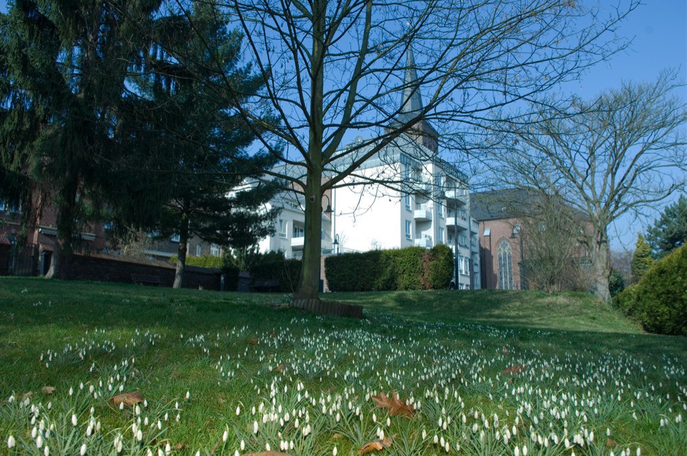 haus am rosengarten neuss in neuss auf wohnen im alter de