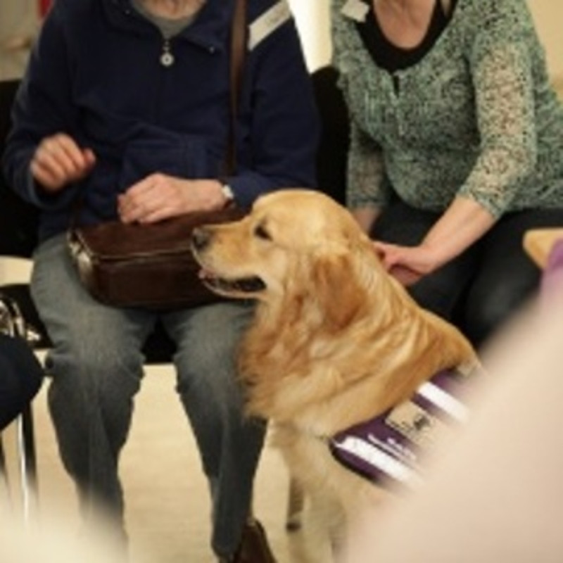 Gustav-Schatz-Hof in Kiel auf Wohnen-im-Alter.de