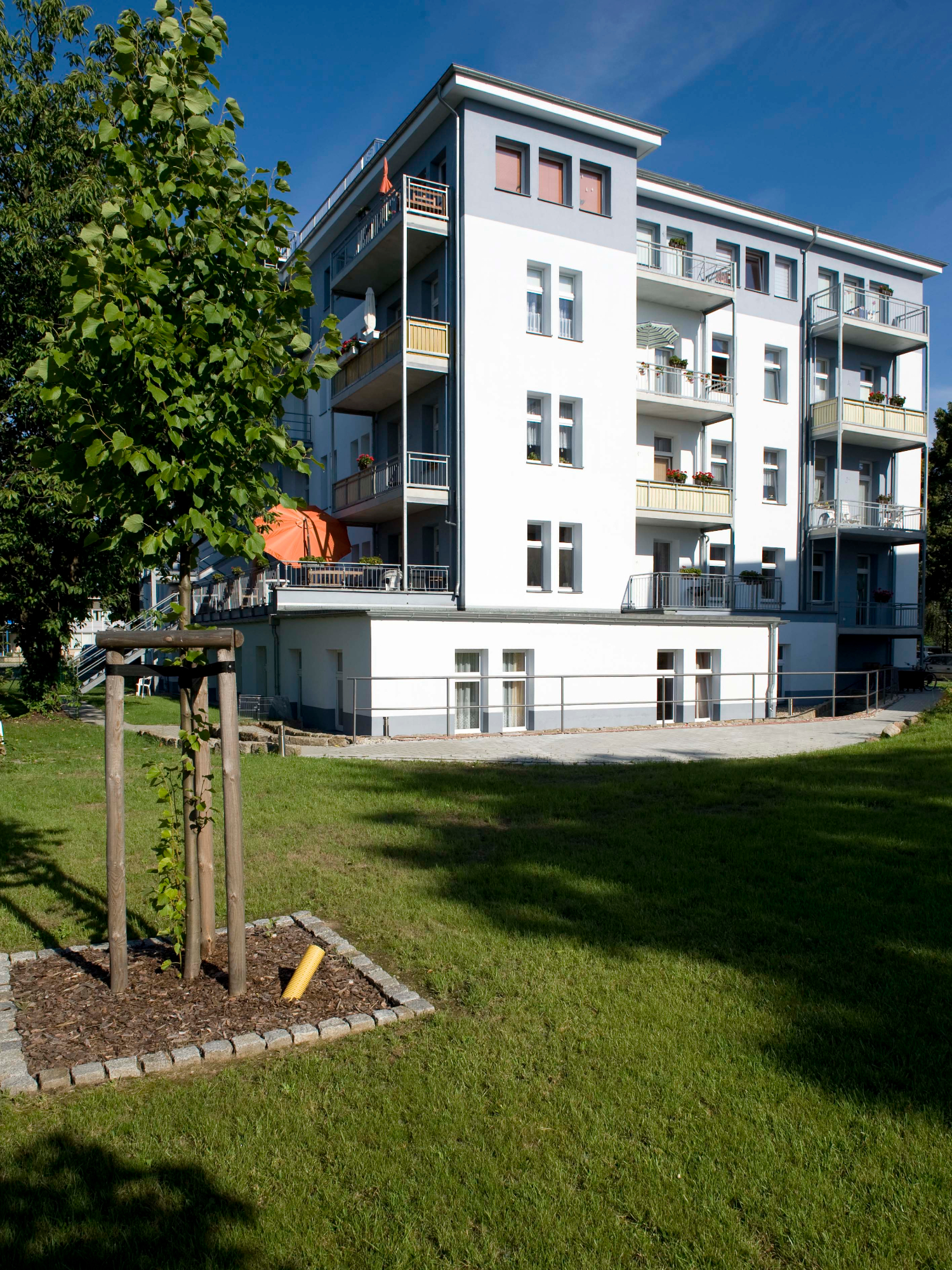 2 Raum Wohnung Dresden Striesen West Mieten