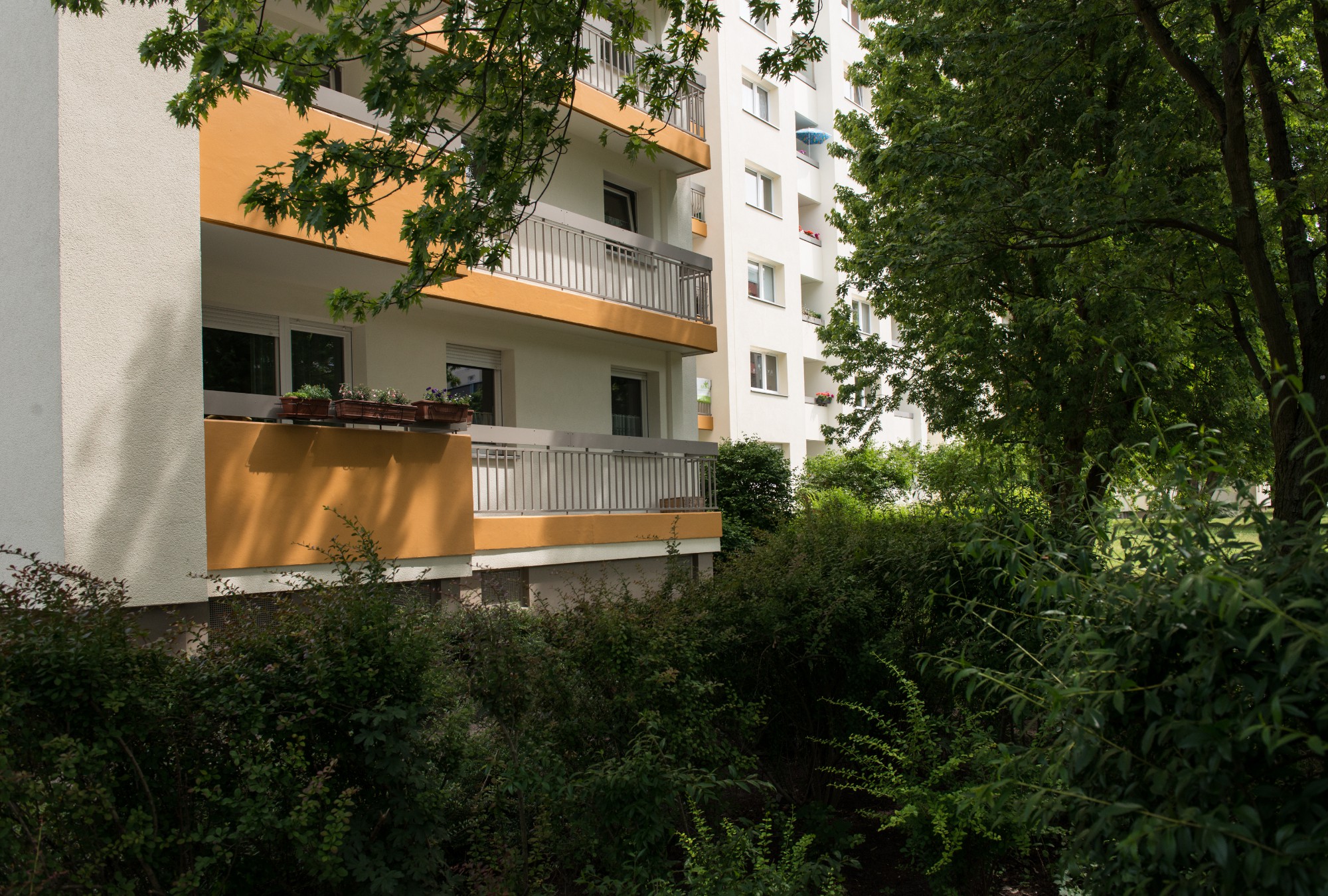 Service Wohnen Fur Senioren In Marienfelde In Berlin Auf Wohnen Im Alter De