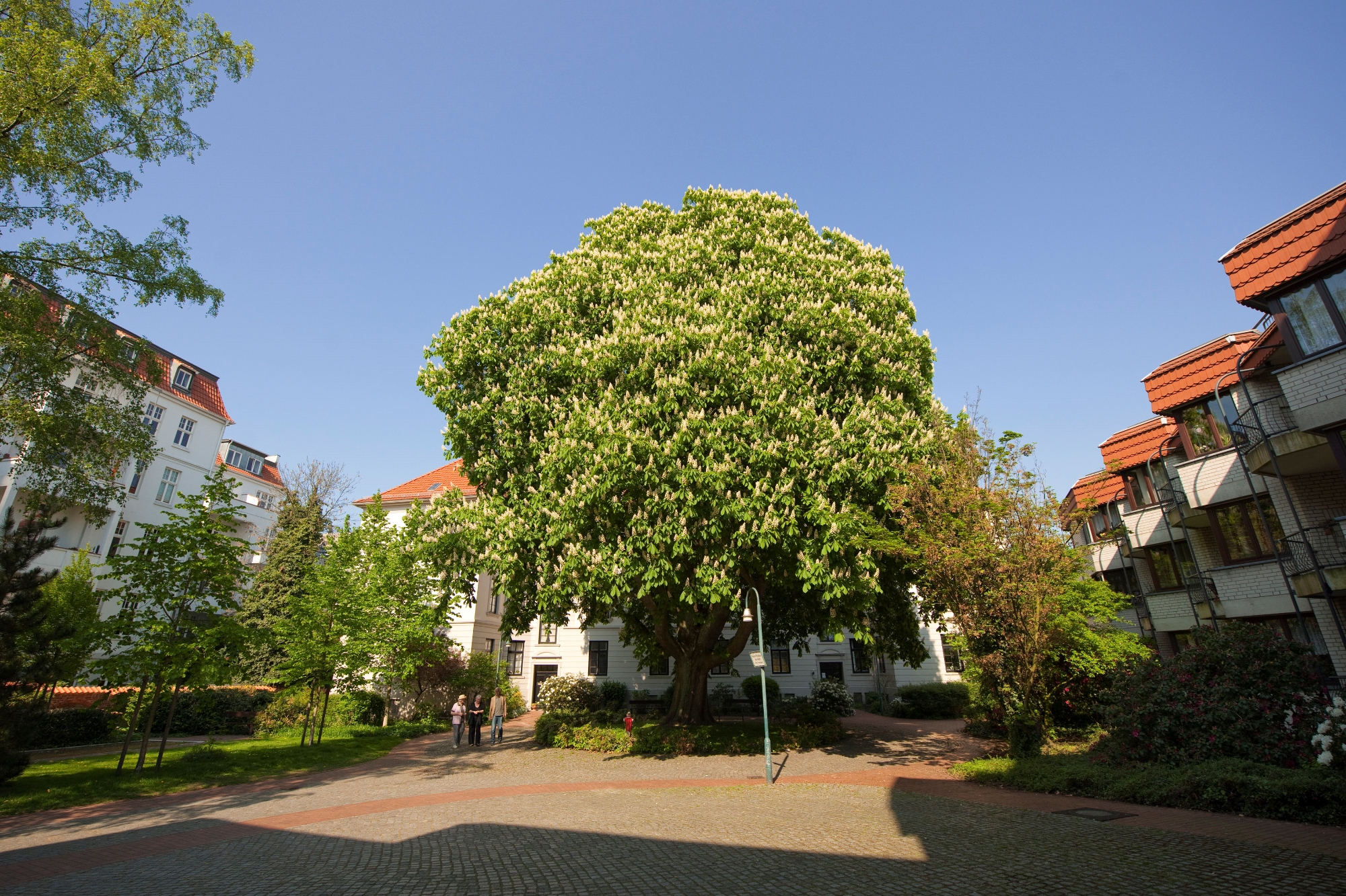 Bremer Heimstiftung Stadtteilhaus St. Remberti in Bremen auf Wohnenim