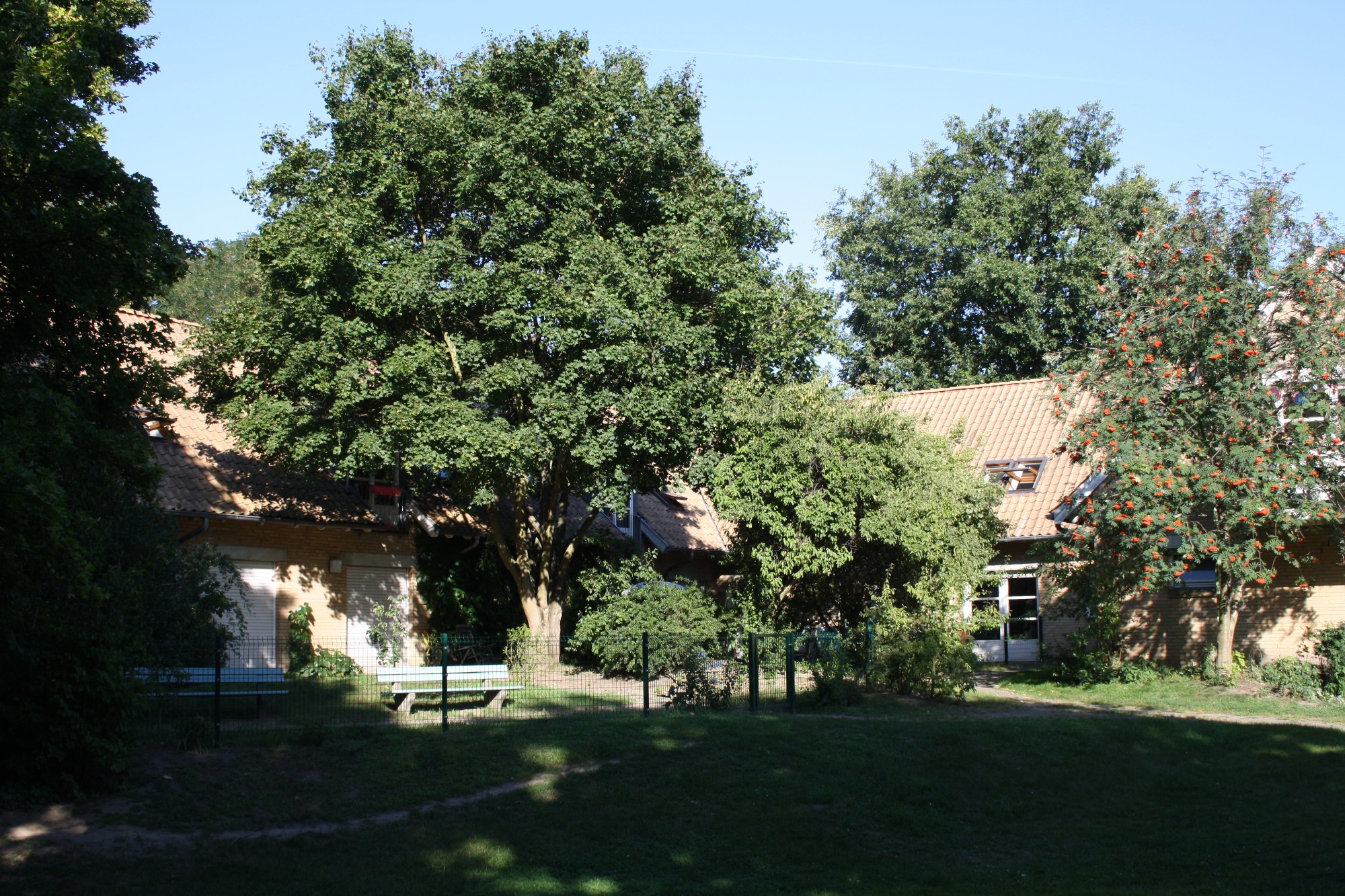 wohngemeinschaft fur menschen mit demenz in berlin auf wohnen im alter de