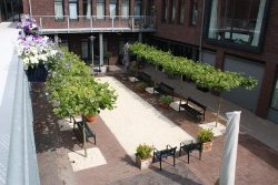 Das Demenzdorf in Hogewey